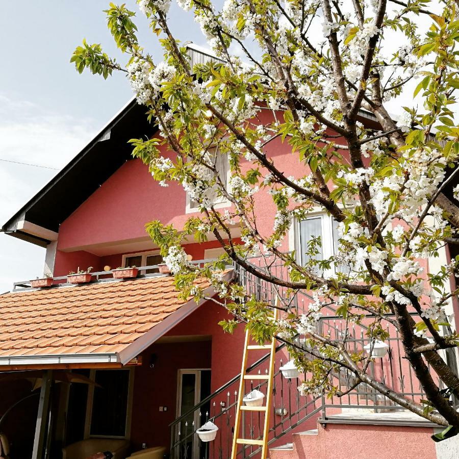Apartments "Predah Kod Baraca" Ni Екстериор снимка